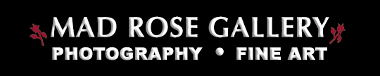 Mad Rose Gallery, Millerton, NY Photography Fine Art